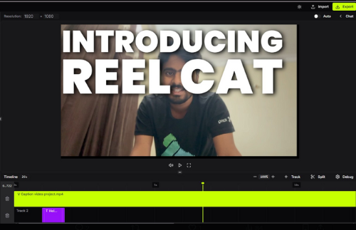 reelcat demo image